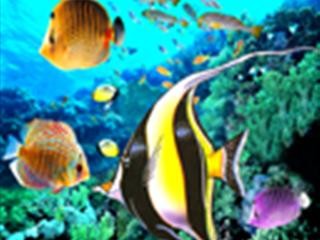 供应3D卡片印刷